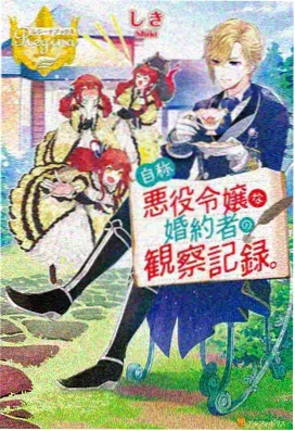 书院门旧书摊与城墙示意